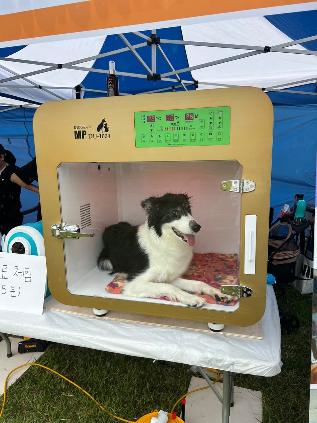 펫 전시회 부스 — 케어부스 속 반려견