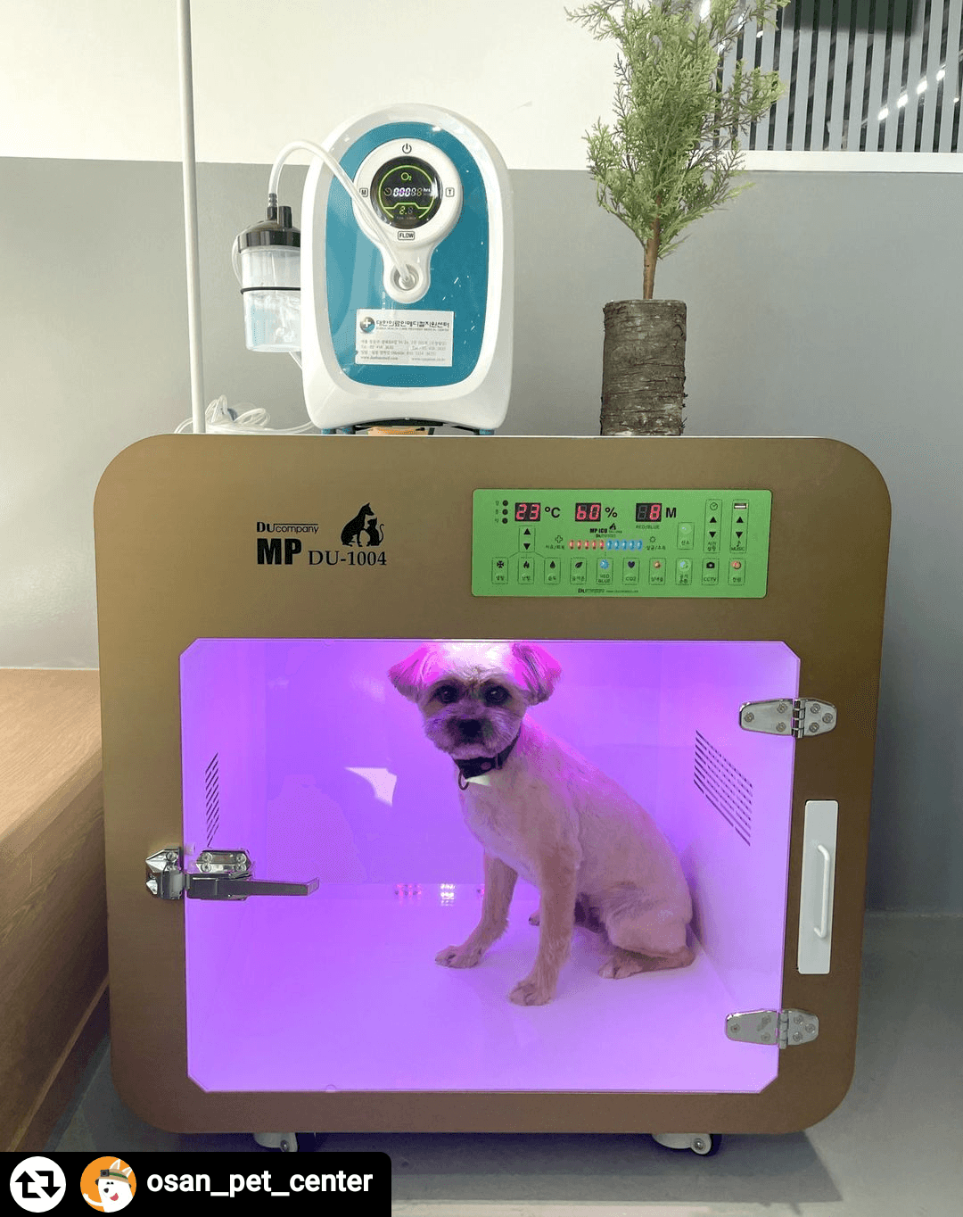 오산 펫센터 — MP DU-1004 설치 (블루 LED)